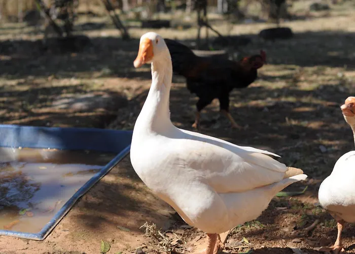 Aluguéis de temporada: Pousada e Restaurante Victórios